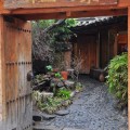 m_RestaurantDSC_3560