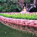 BuddhaGarden